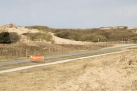 Duinen_3.jpg