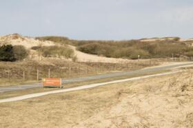 Duinen_3.jpg