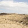 Duinen_1.jpg