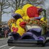 flower_parade3.jpg