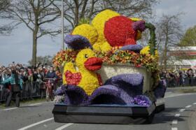 flower_parade3.jpg