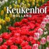 Keukenhof.jpg