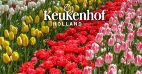 Keukenhof.jpg